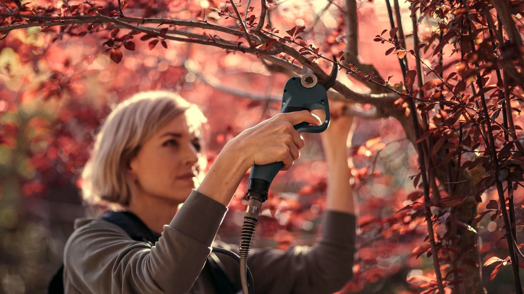 Cramer 82P 82V Li-Ion Accu Snoeischaar Body - 40 Mm - Koolborstelloos 2 Cramer 82P 82V Li-Ion Accu Snoeischaar Body - 40 Mm - Koolborstelloos - Afbeelding 2