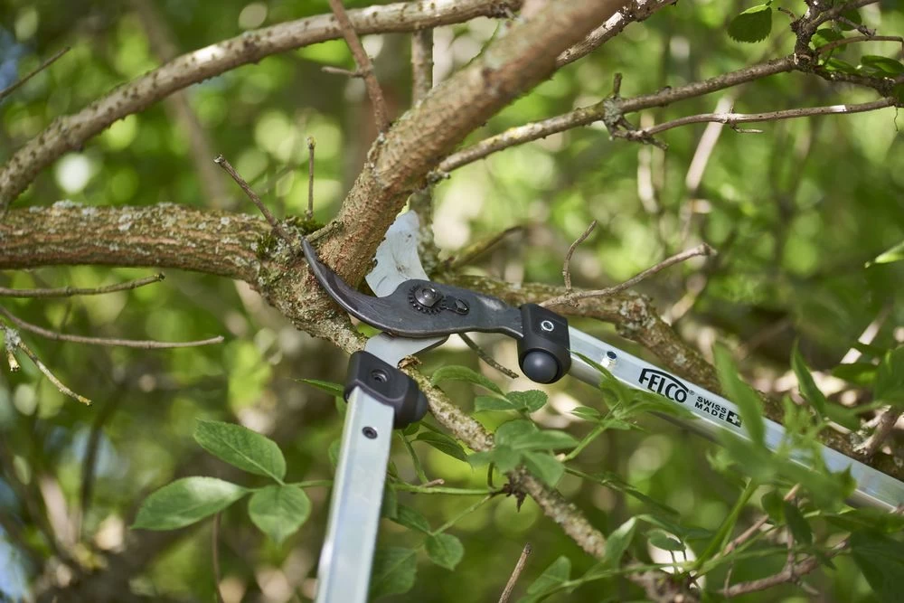 Felco F.211-60 Takkenschaar - 60cm 2 Felco F.211-60 Takkenschaar - 60cm - Afbeelding 2